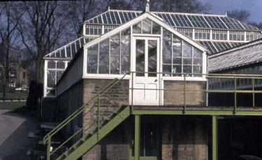 Greenhead Park - glass houses situated at the rear of the conservatory.