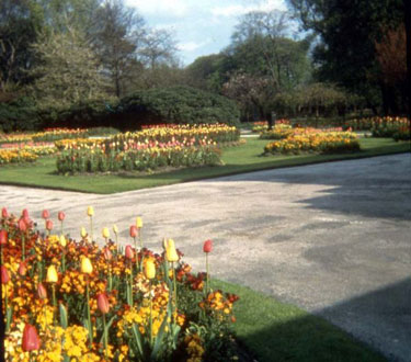 Greenhead Park - flowerbeds.