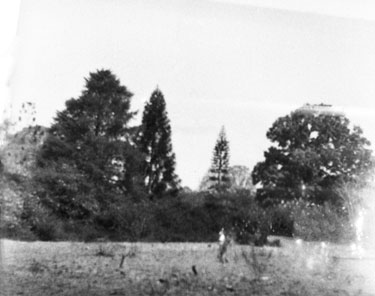 Royal Air Force 1543805 R.O. Stone East Bengal and Burma 1943-1946: Black and White Negatives of various photographs taken over that period – Maymyo Botanical Gardens, National Kandawgyi Park, (Pyin U Lwin), Burma.