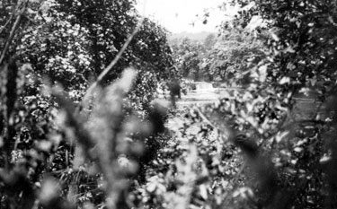 Photo Album Containing Various Images: River Calder at Cooper Bridge.