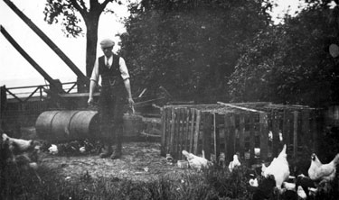 Photo Album Containing Various Images: Mr G. Bloomfield and his hobby - keeping chickens.